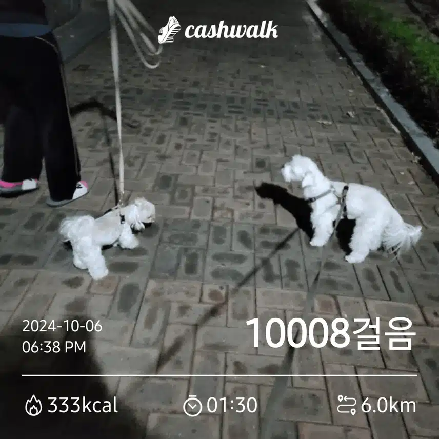 저녁산책하면서 공원에서 10,000보인증합니다