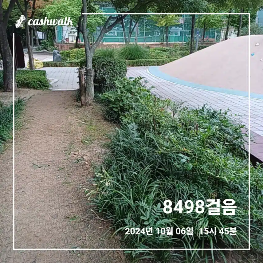 흐린 주말 만보걷기 