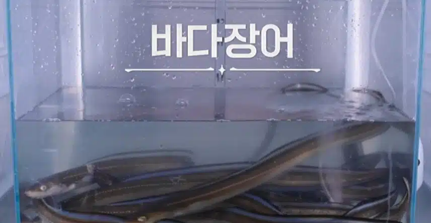 조셉 VS 요리하는돌아이 대결  바다장어요리 맛있겠어요