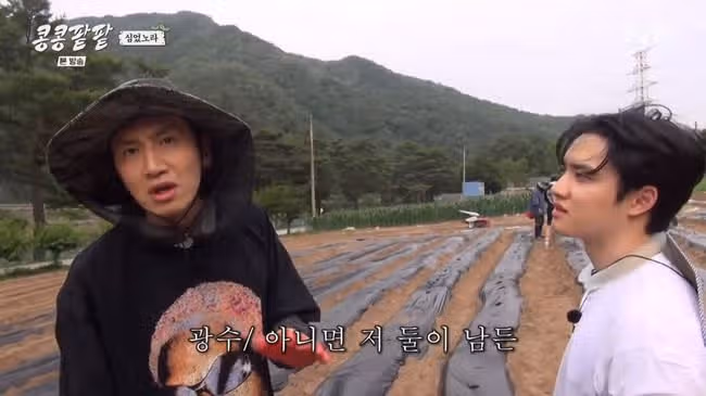 삼시세끼 라이트 게스트 임영웅 김고은 다음 누구? (ft. 게스트 목소리)