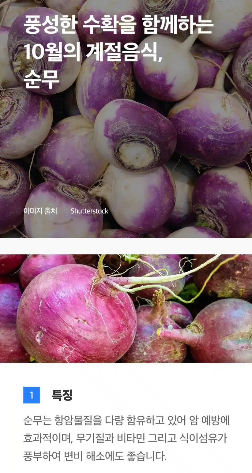 순무 드세요.