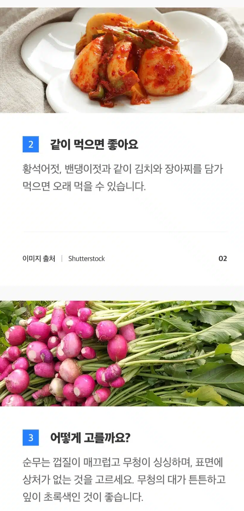 순무 드세요.