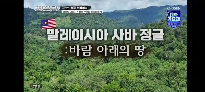 생존왕 프로소개