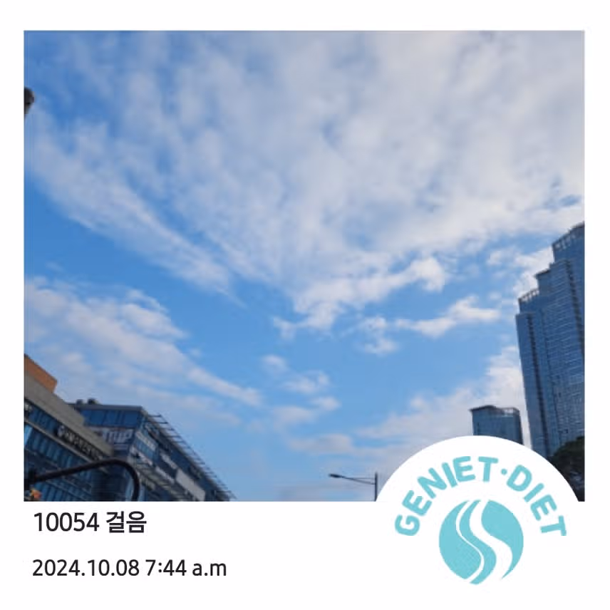 만보걷기 