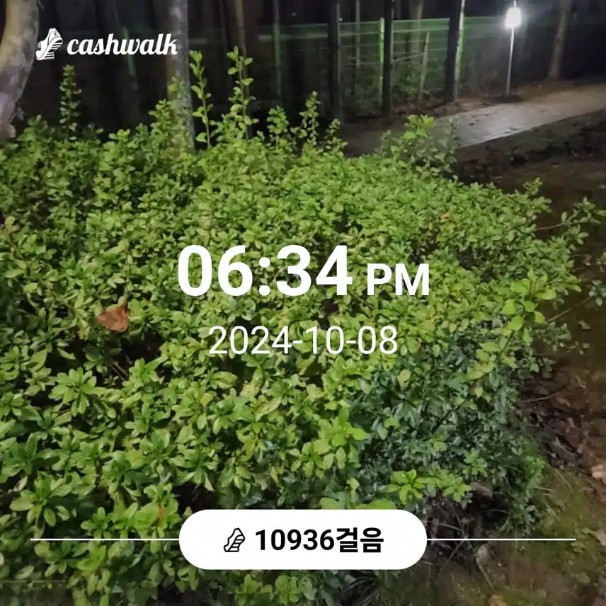 만보 걸었어요 