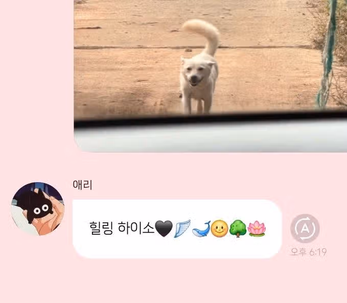 마이들 힐링 제대로 시켜주는 지젤🖤시골풍경