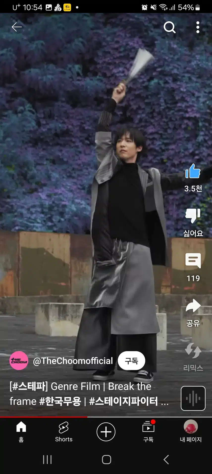 스테파한국무용  코치님