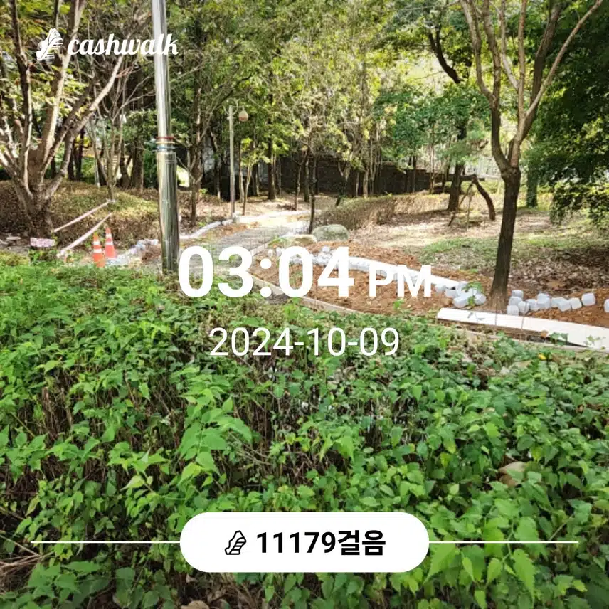 만보걷기운동 완료 