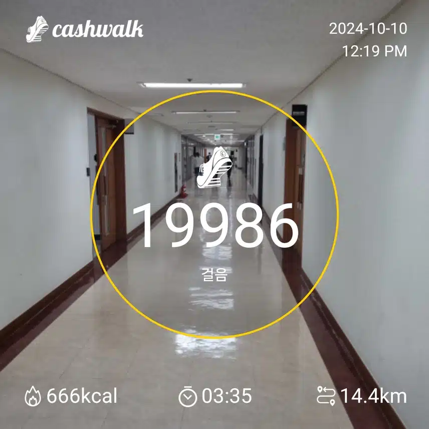 10월10일 걷기 인증