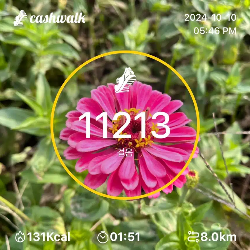 목요일 만보걷기 🌸만천보