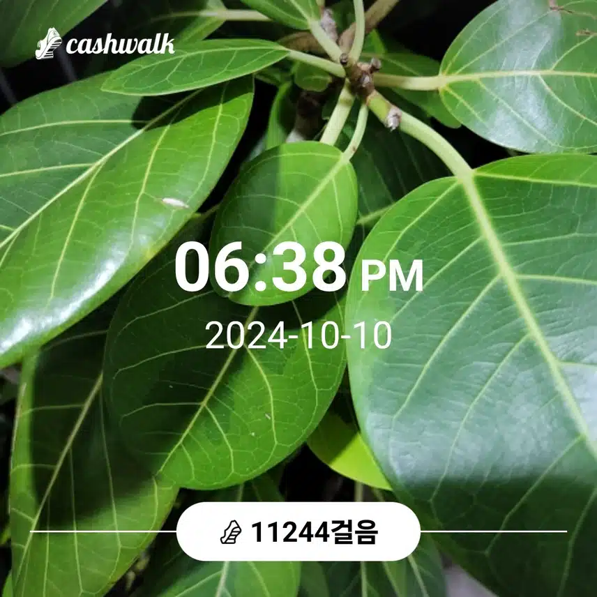 친구랑 등산해서 만보 걸었어요 