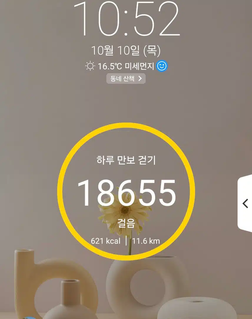 1만8천보 걷기