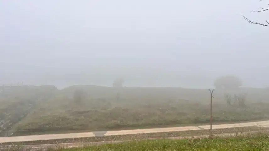 7733570.jpg