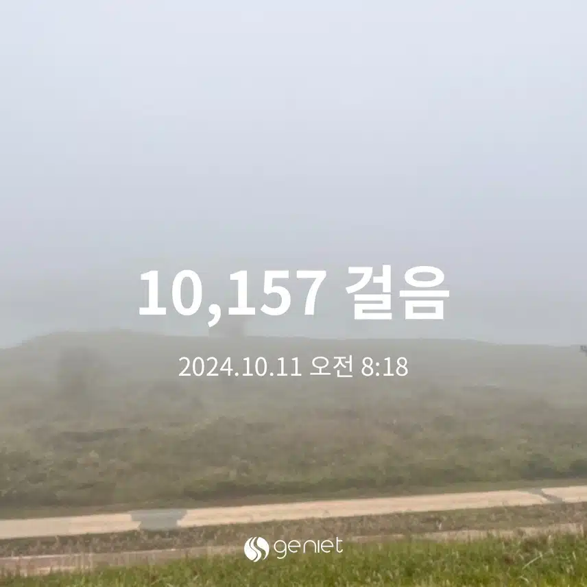 7733868.jpg