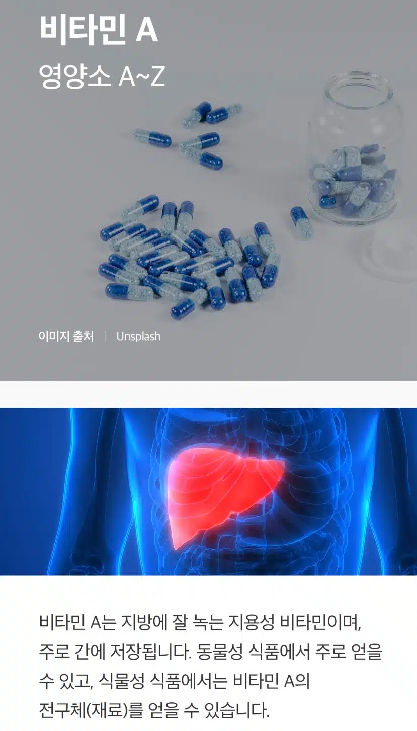 오늘의 건강 한마디 ㅡ비타민A