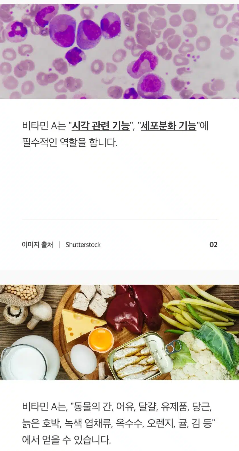오늘의 건강 한마디 ㅡ비타민A