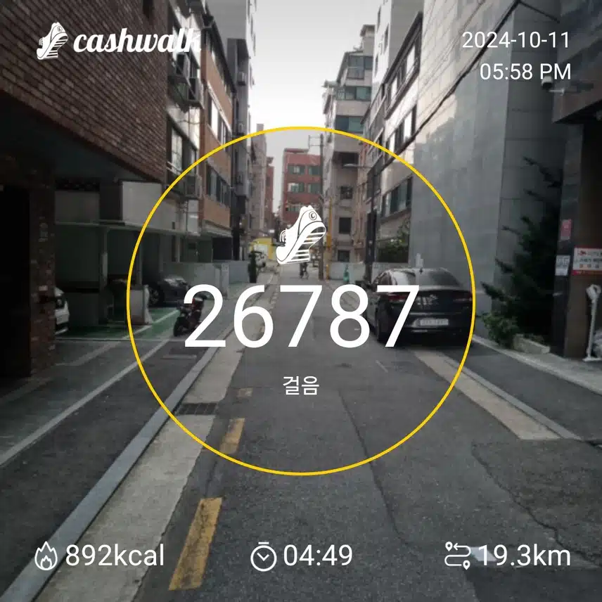 10월11일 걷기 인증