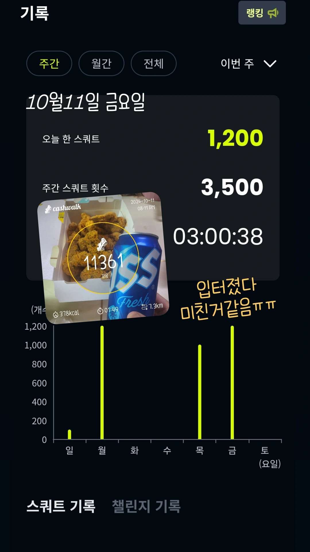 오운완 