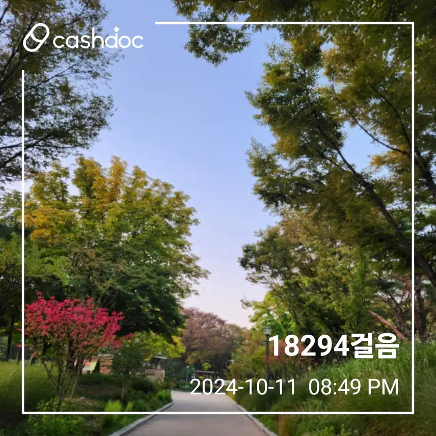 금요일  만칠천보 