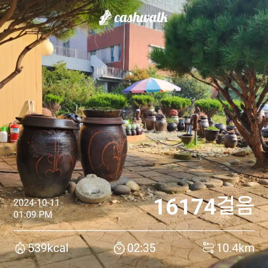 금요일 만보 걷기~
