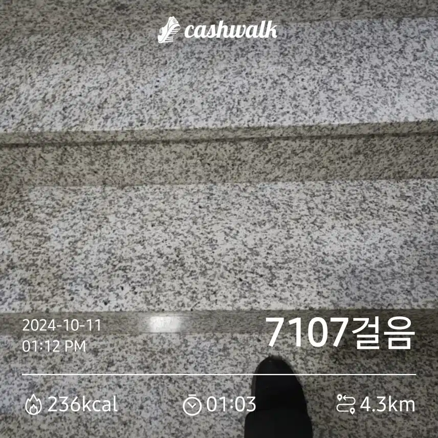 오늘도 계단 오르기로 다리 근육을 ...