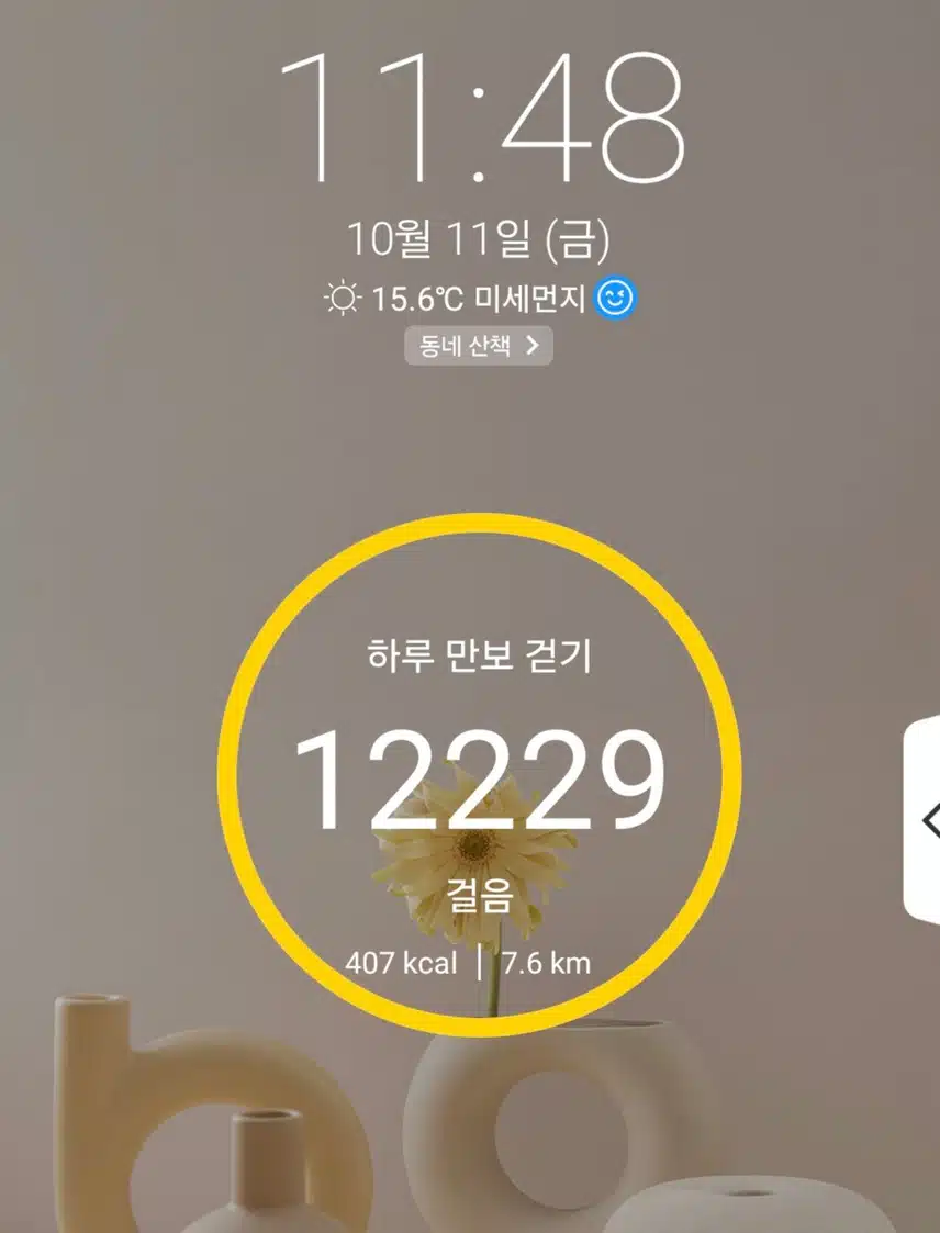 1만2천보 걷기