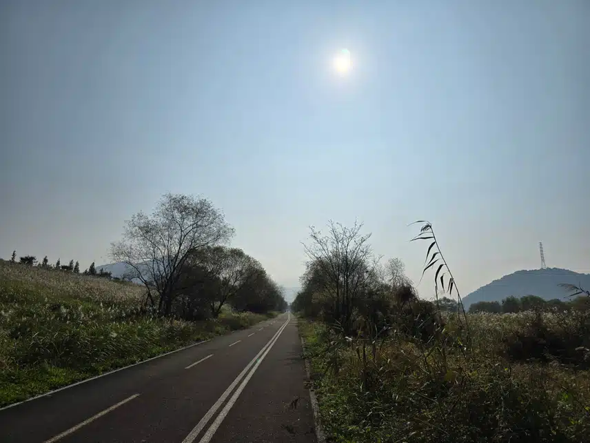 주말 운동