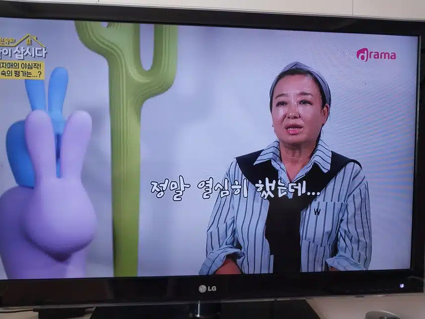 박원숙 같이 삽시다  구혜선 합류