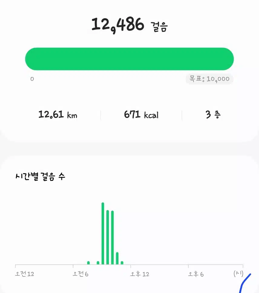 오전 운동