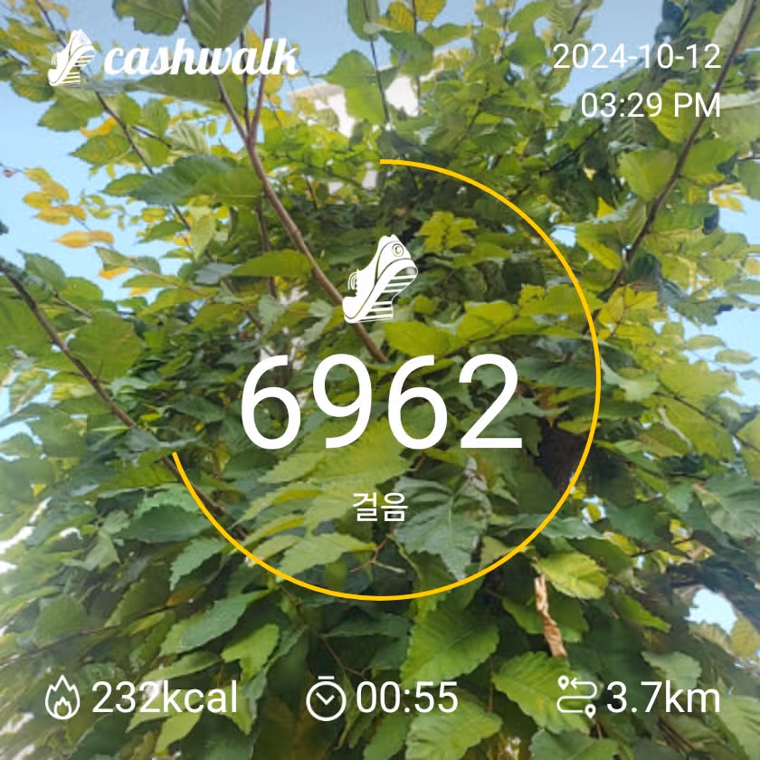 6천보걷기 