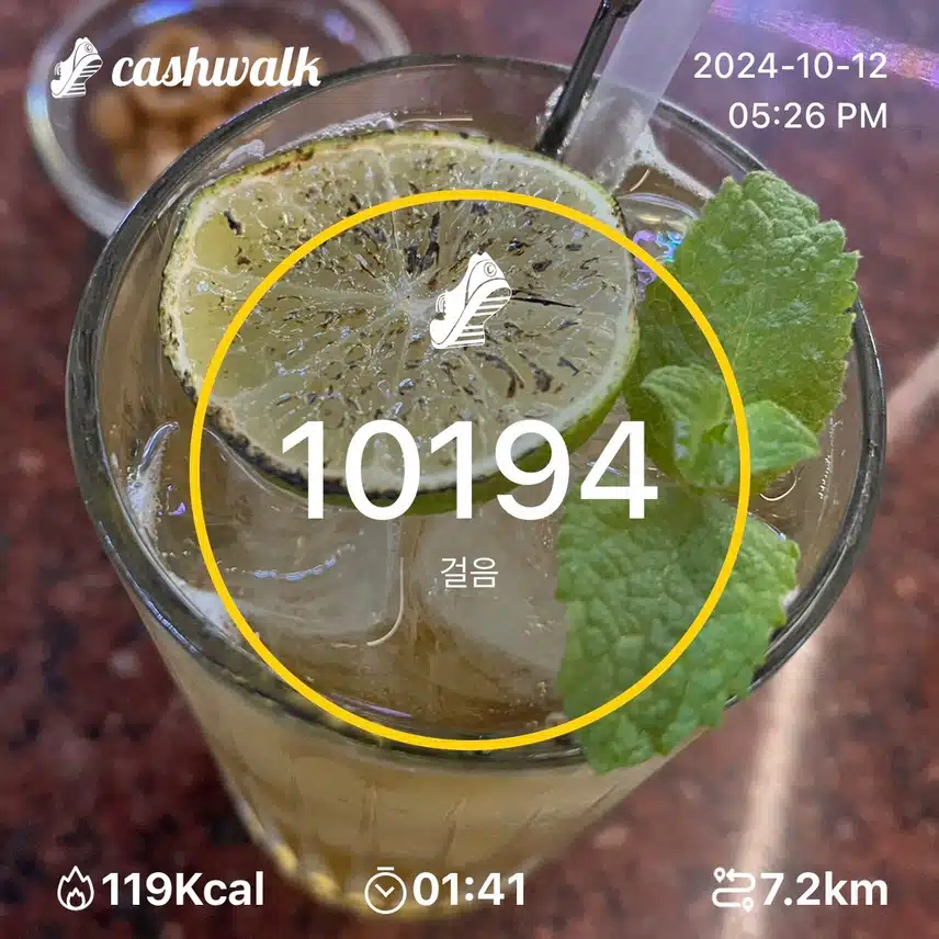 토요일 만보걷기 만보🥃
