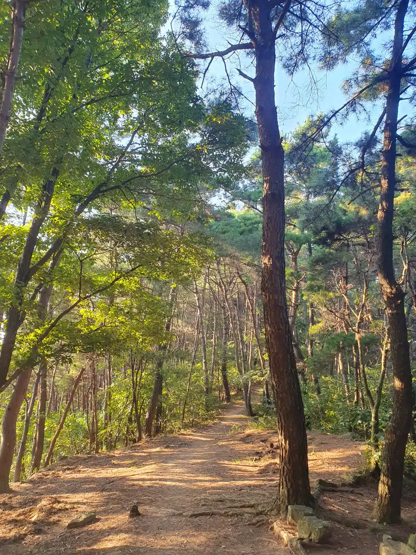 오늘도 산에 다녀 왔어요~~