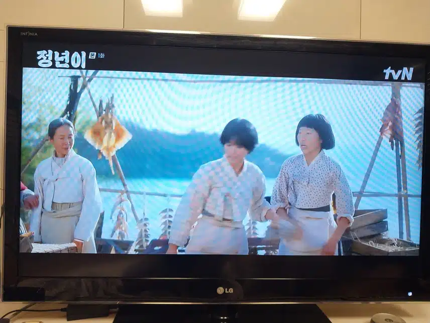 정년이