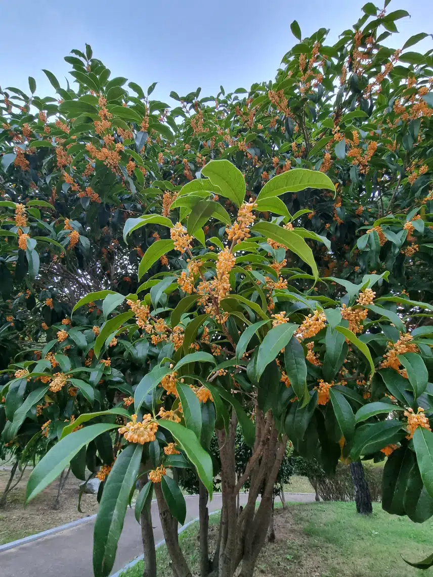   토요일 아침 운동