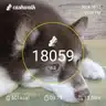 board-img