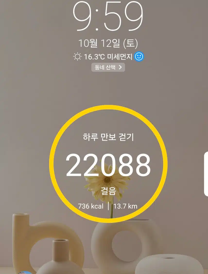 2만2천보 걷기