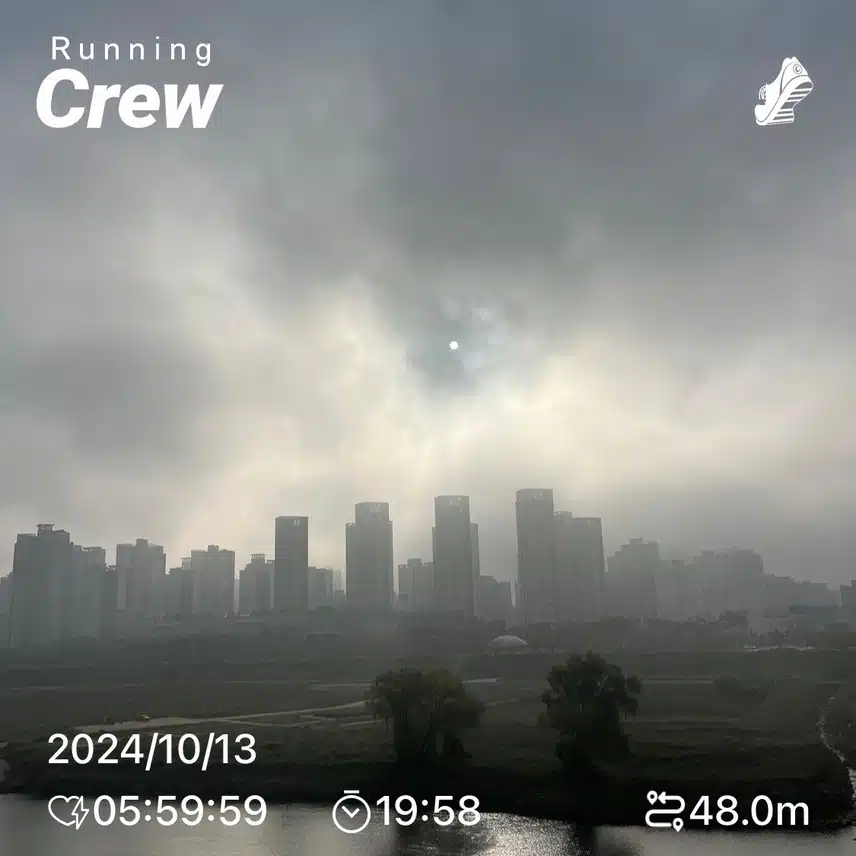 7751880.jpg