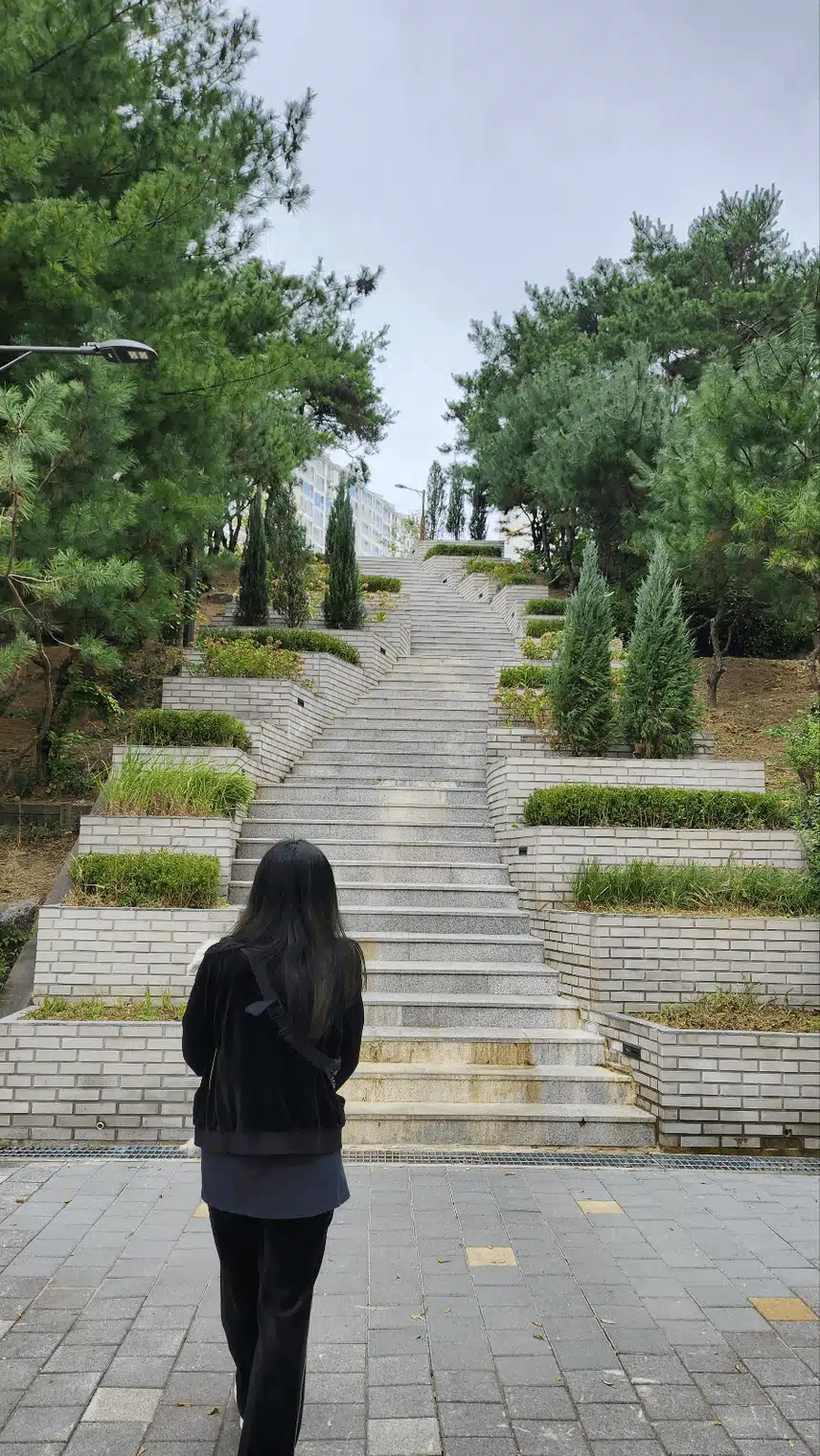 계단 오르기를 해 봅니다