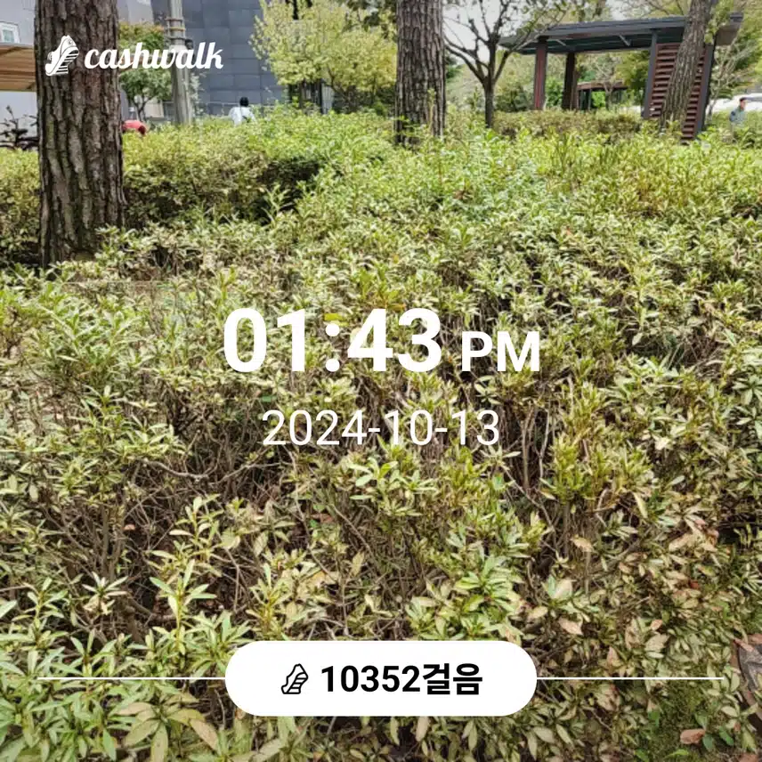 만보 걸었어요 