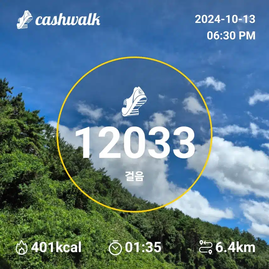만보인증