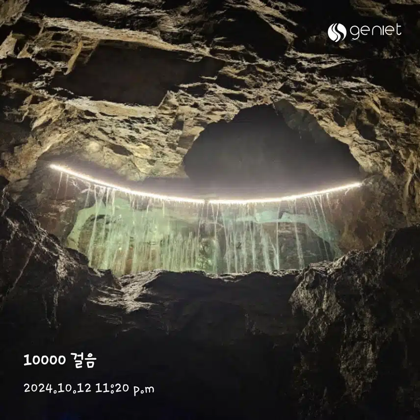토일 만보인증
