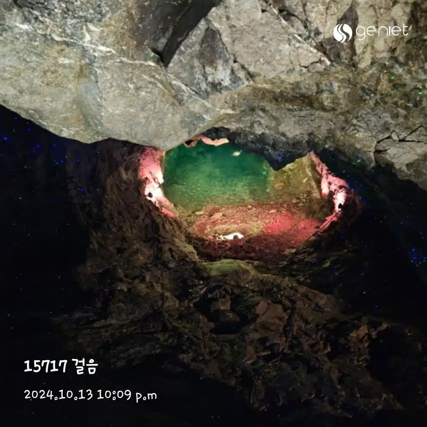 토일 만보인증