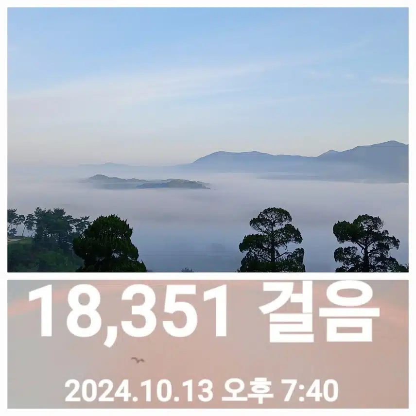 어제는 2만보 걷기를 거의^^ 했네욤
