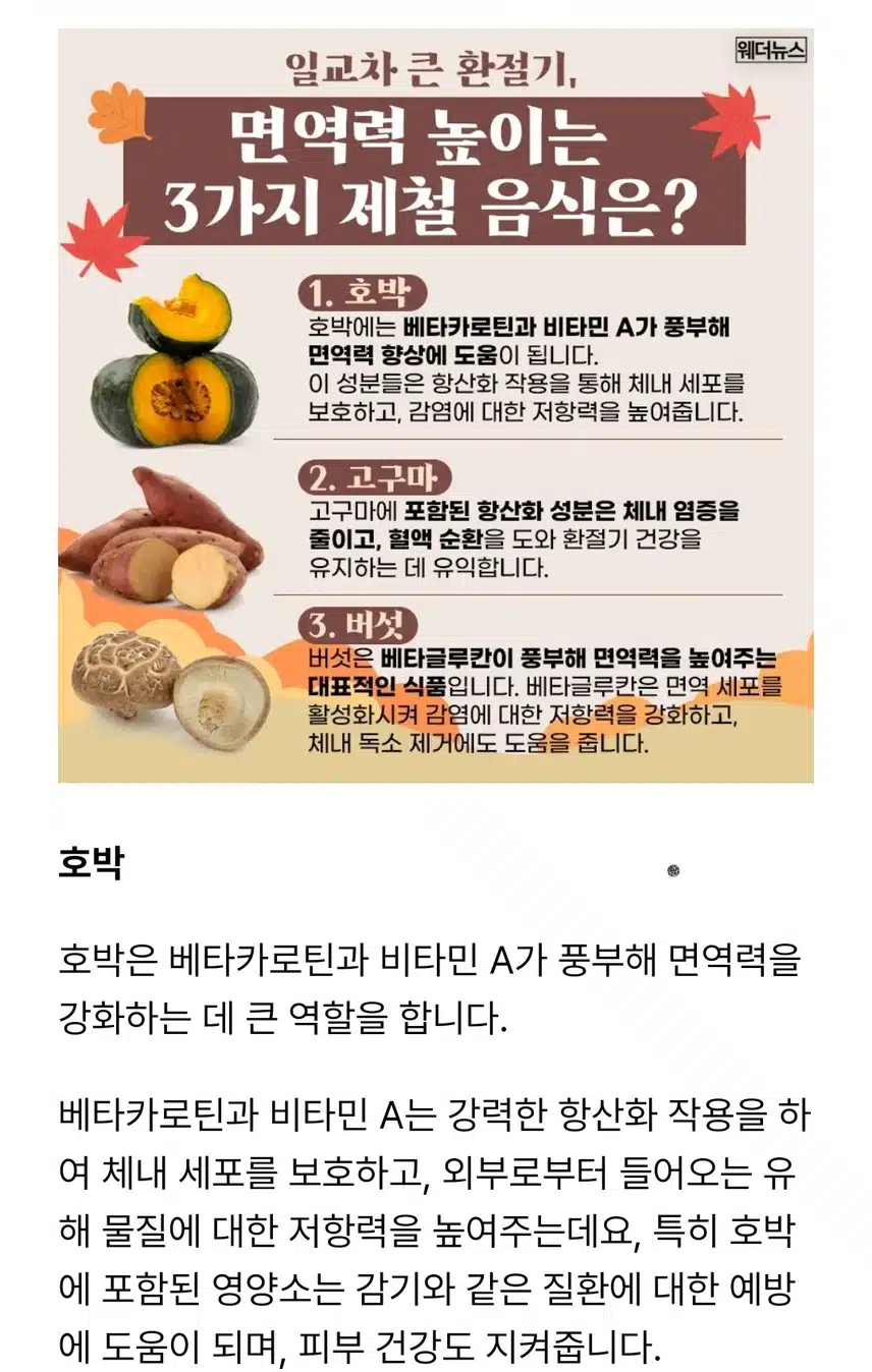 면역력 높이는 제철 음식