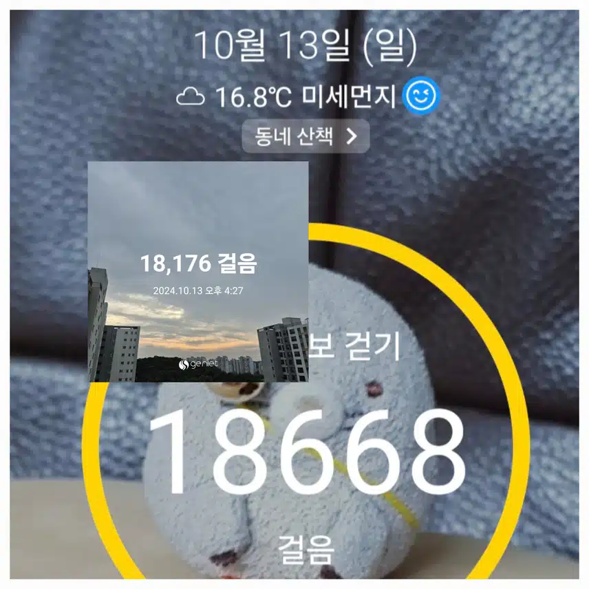  어제 걷기 인증 할께요~（￣︶￣）↗　