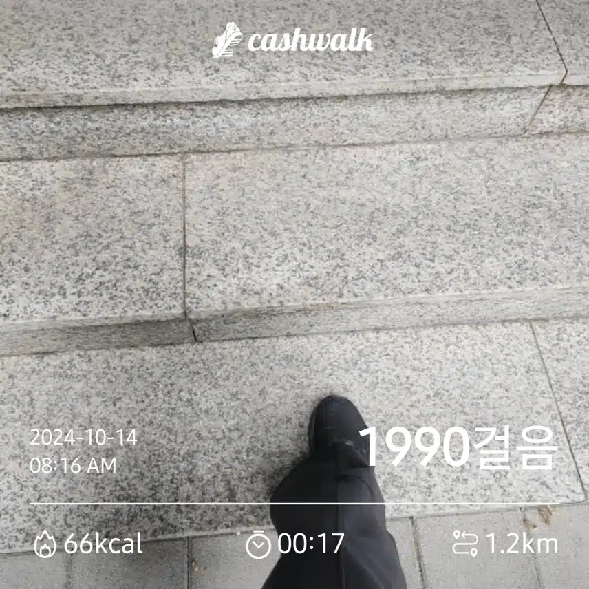 계단오르기로 근육키우기 해요