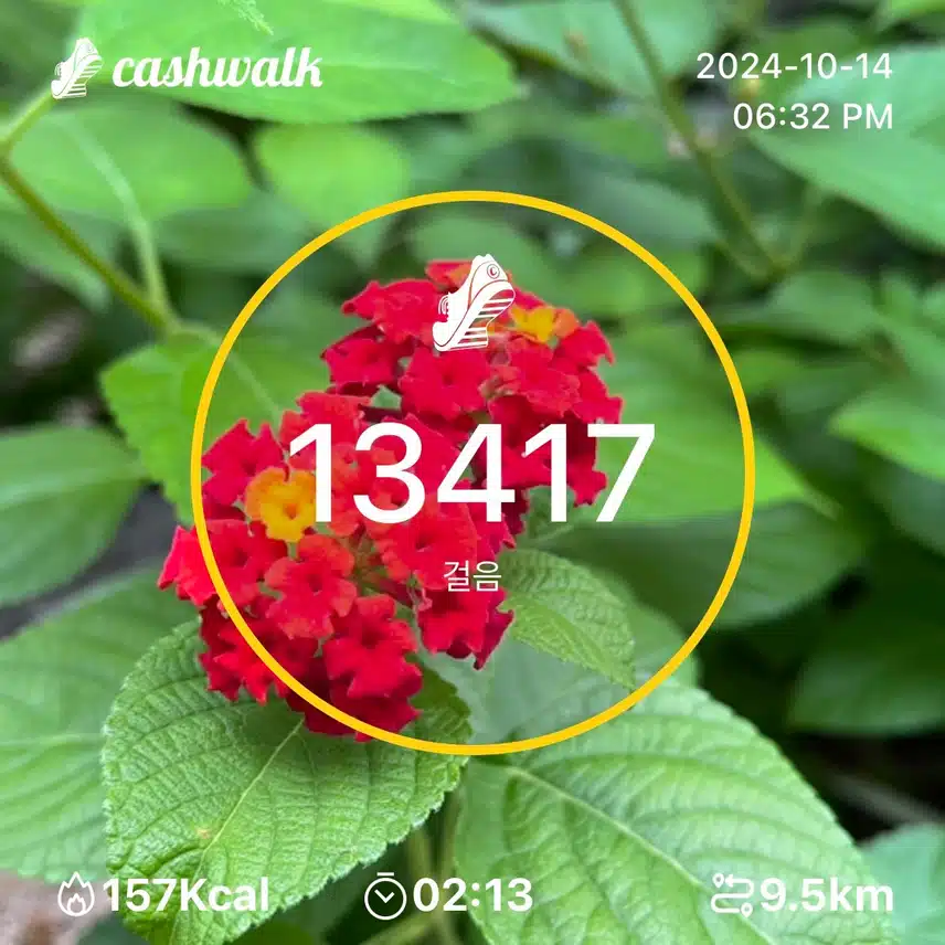 월요일 만보걷기❣️ 만삼천보