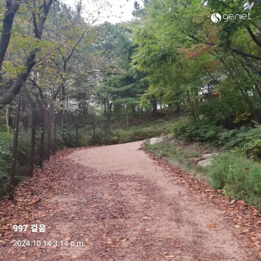 비오는 날 산책
