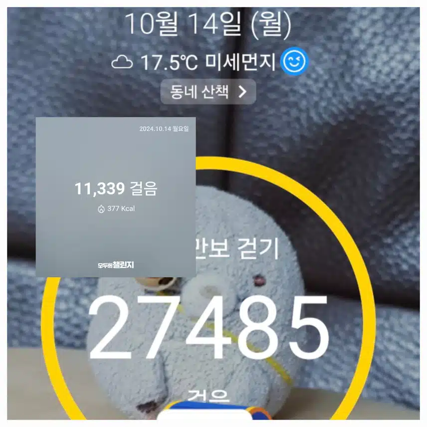 오늘의 이만큼~ 걸었어요