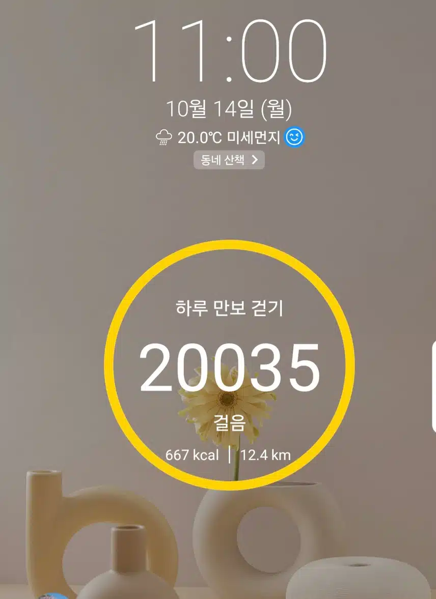 2만보 걷기